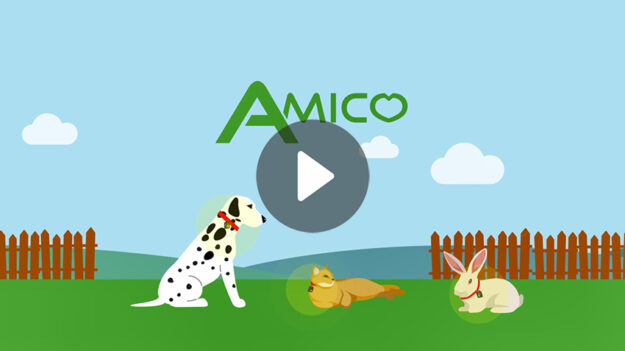 AmicoVideo