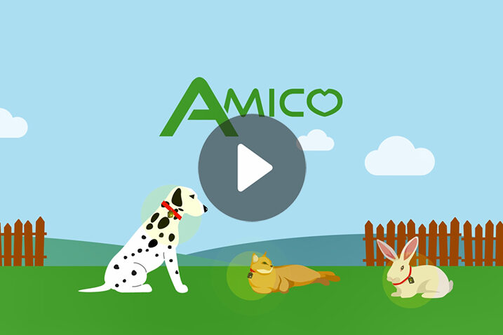 AmicoVideo